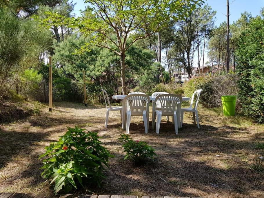 Maison A 300M De La Plage Villa Moliets-et-Maa Esterno foto